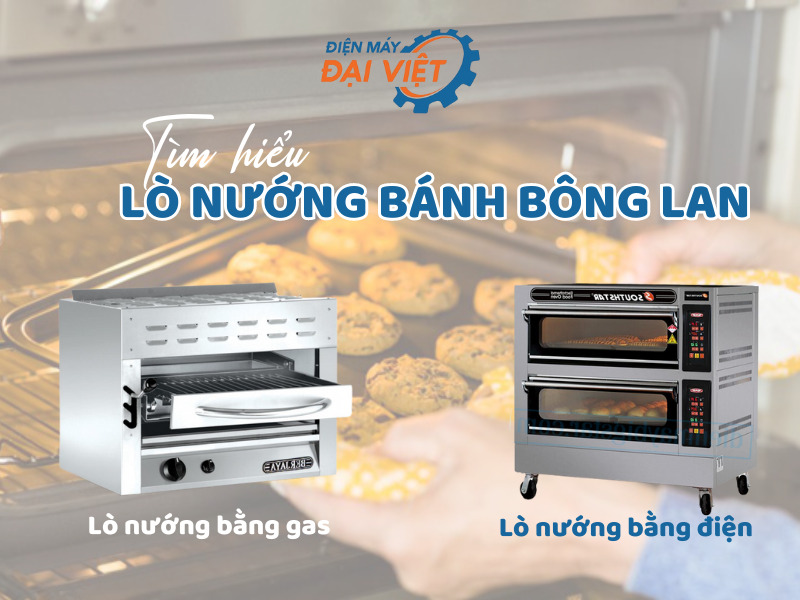 Lò nướng bánh bông lan: Từ A – Z thông tin cần biết